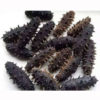 Price-of-dried-sea-cucumber