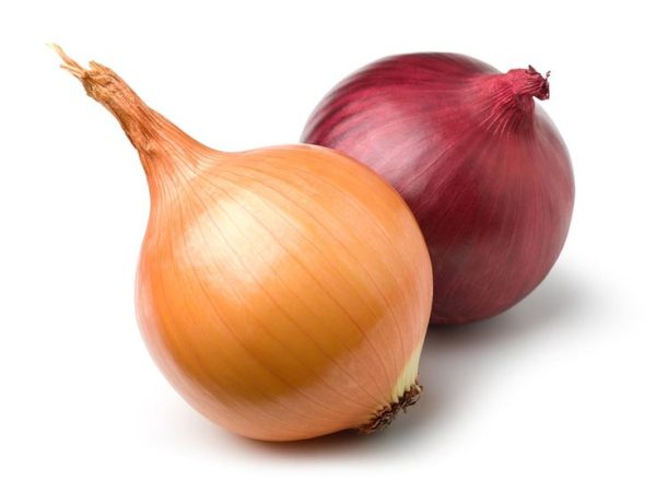 Fresh Onion